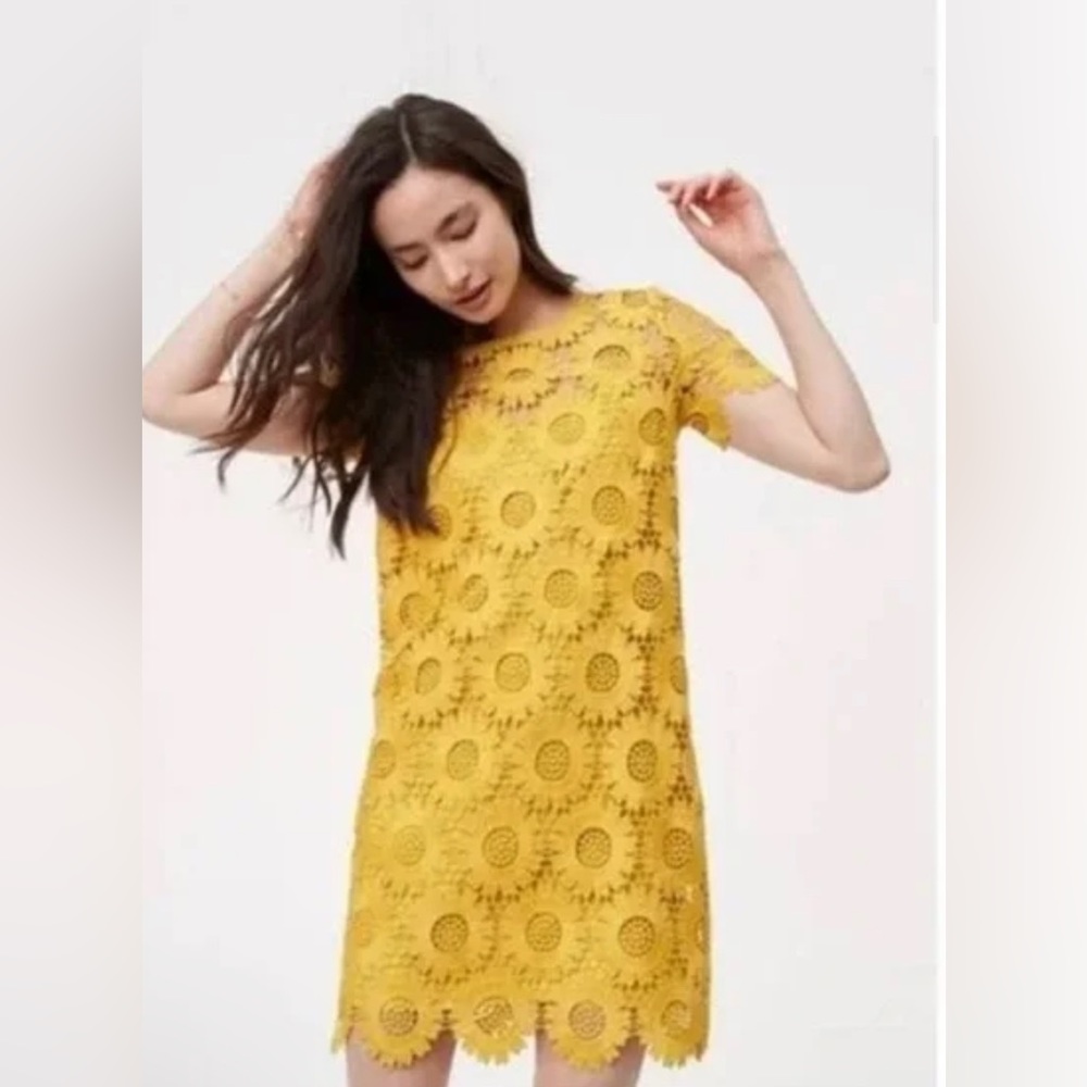 LOFT Shift Dress